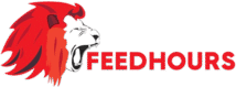 FeedHours – Fresh Stories, Every Hour